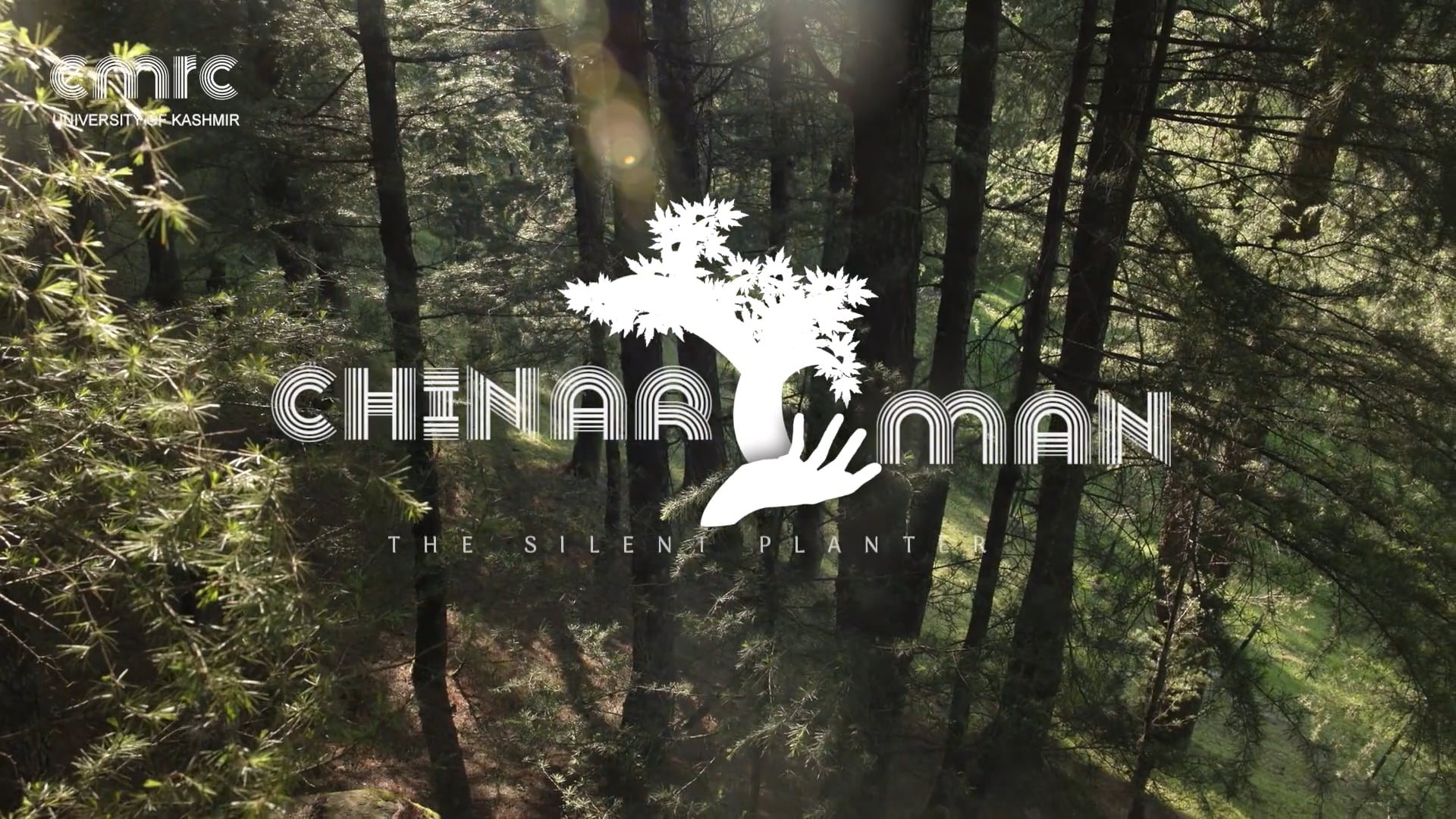 Chinar Man The Silent Plantner