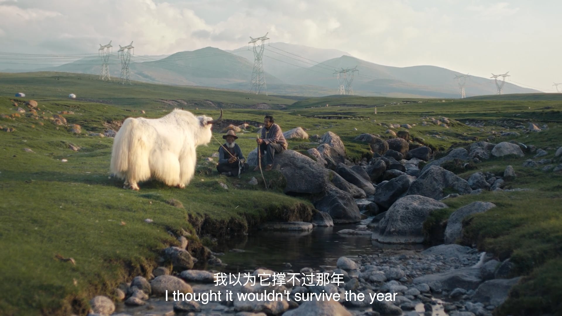 The White Yak